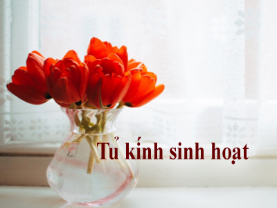 Tủ kính sinh hoạt (Th. Ba ) b - 2019-10-01 Tủ kính sinh hoạt (Th. Ba ) b - 2019-10-01