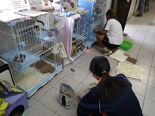 Theo dòng thời sự - 2022-08-13