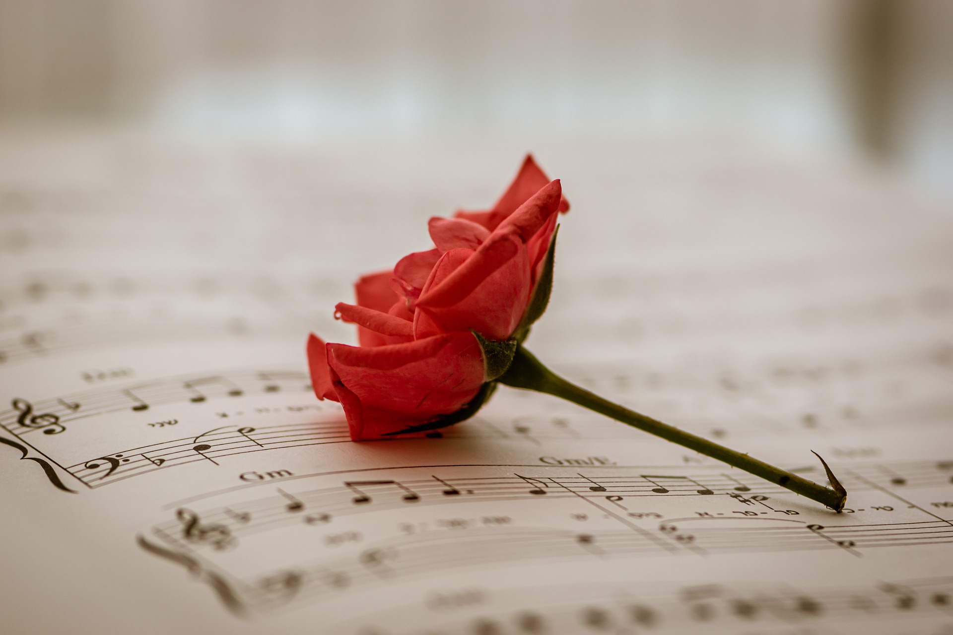 Thế giới âm nhạc cổ điển - Trường phái âm nhạc lãng mạn- nhạc sĩ Frank Schubert Thế giới âm nhạc cổ điển - Trường phái âm nhạc lãng mạn- nhạc sĩ Frank Schubert