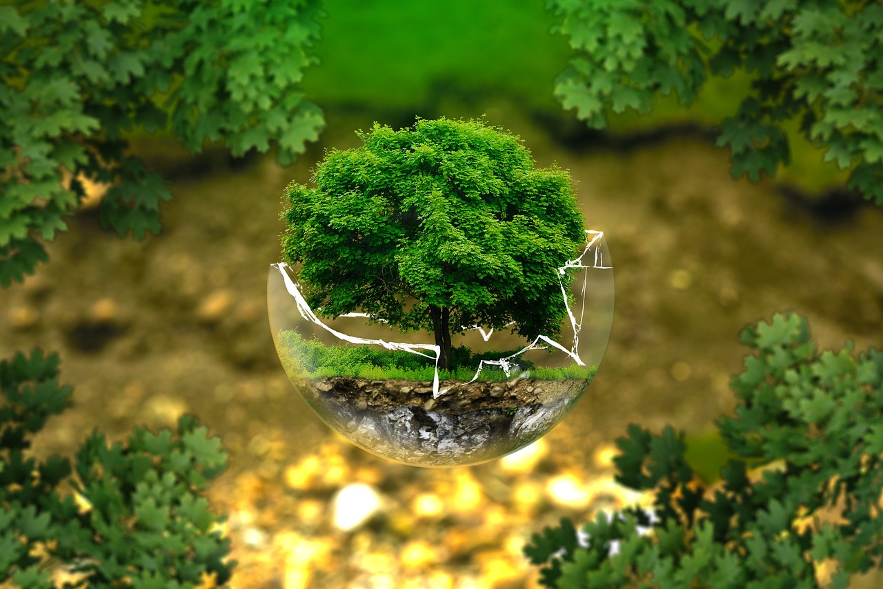 10 hành động hưởng ứng ESG đơn giản và dễ dàng thực hiện