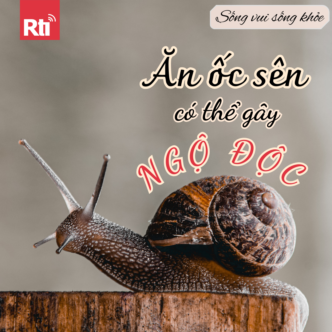 [Sống vui sống khỏe - Tập 101] Ăn ốc sên có thể gây ngộ độc!
