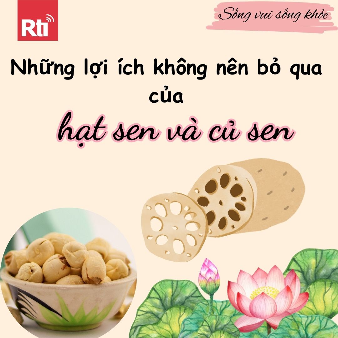 [Sống vui sống khỏe - Tập 104] Những lợi ích không nên bỏ qua của hạt sen và củ sen đối với sức khỏe
