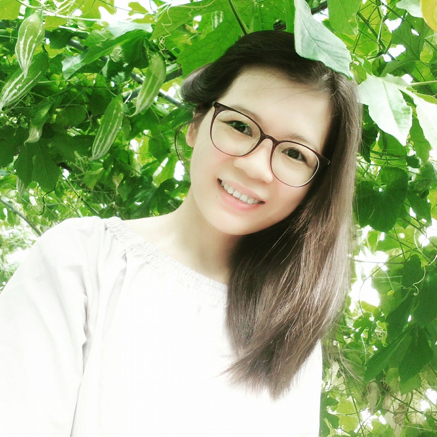 Vườn rau trái sum suê của cô gái Việt trên xứ Đài