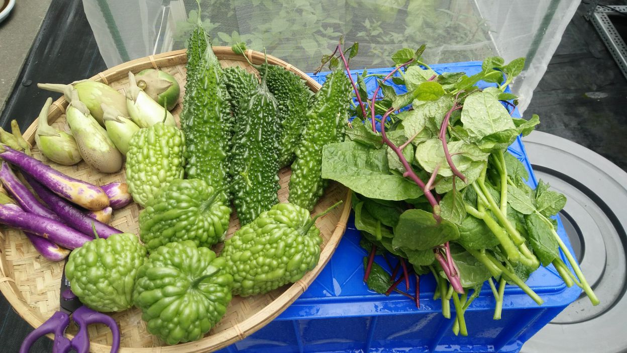 Nhịp sống Đài Loan