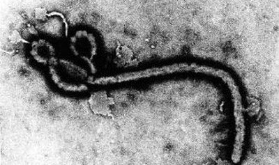 Đứng trước dịch Ebola hoành hành, TT Mã Anh Cửu : sẵn sàng giúp đỡ nước bang giao phòng chống dịch bệnh