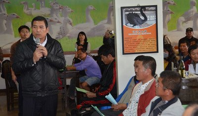 Phổ biến rộng tới nhà nông phục hồi chăn nuôi trong nội thất trước chiều hướng cúm gia cầm đang dịu dần