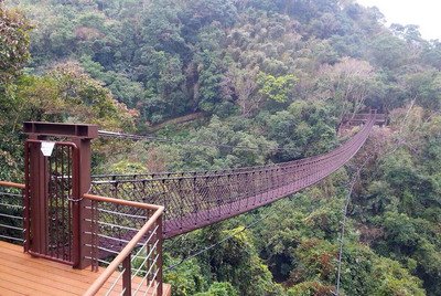 Cây cầu dây Tiểu Ô Lai bắt đầu đưa vào sử dụng vào ngày Lễ Tình nhân