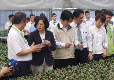 Thái Anh Văn : Sau khi lên nhậm chức tổng thống, sẽ để cho ngành hoa lan tiến xa hơn nữa