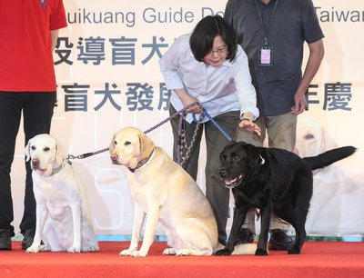 Tổng thống Thái Anh Văn nhận nuôi 3 chú chó dẫn đường (Guide dog)