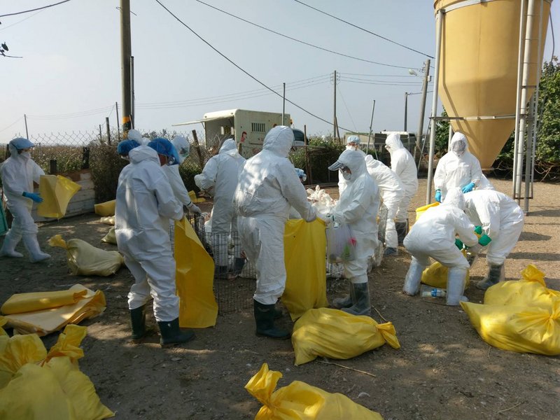 Phát hiện thêm 2 ca nhiễm H5N6