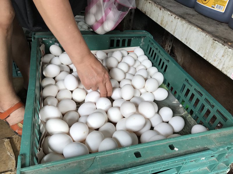 Đậu, hải sản, thịt và nấm đều có thể cung cấp protein thay trứng