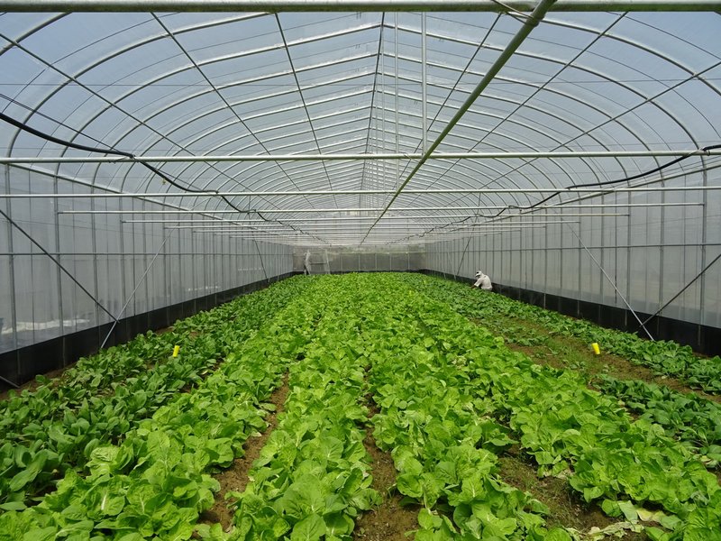 Thúc đẩy phát triển ngành nông nghiệp hữu cơ Đài Loan, mời các quốc gia khu vực Đông Nam Á cùng chia sẻ thông tin