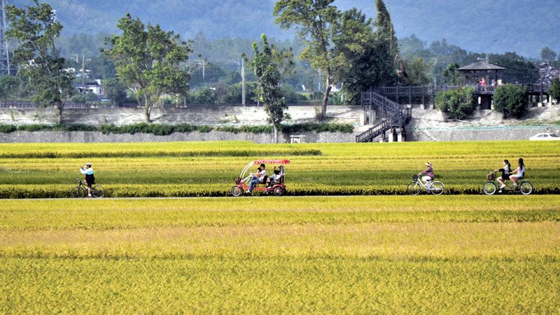 Tích cực xuất khẩu để chuyển hướng phát triển lương thực công cộng, triển khai tới các quốc gia thuộc chính sách hướng nam Mới