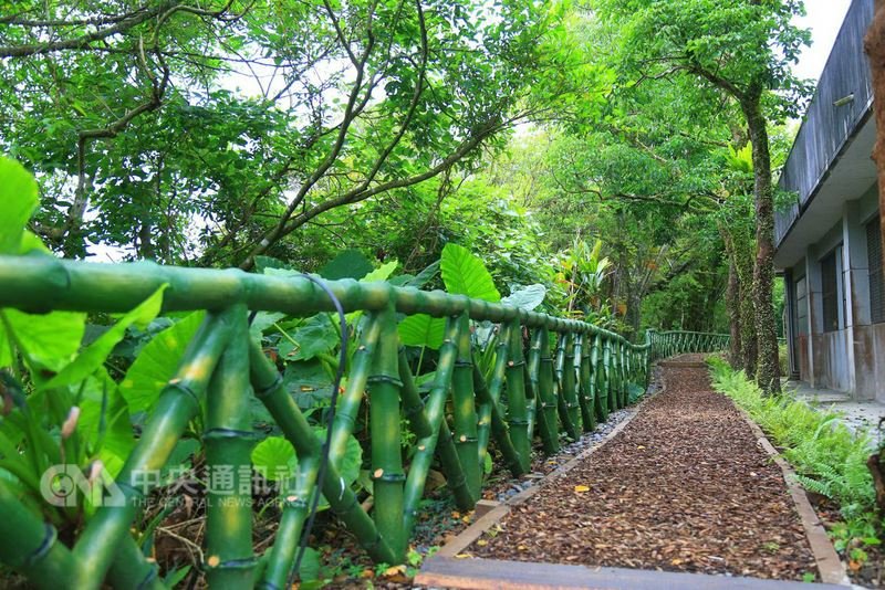 Xây dựng lại mạng lưới đường cổ Đạm Lan trở thành đường đi bộ xanh cấp Quốc Gia