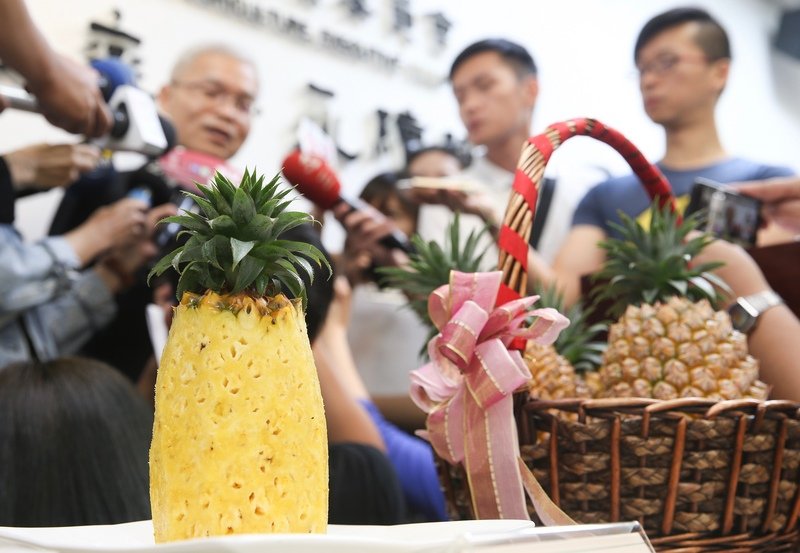 Dứa, chuối được mùa mất giá.