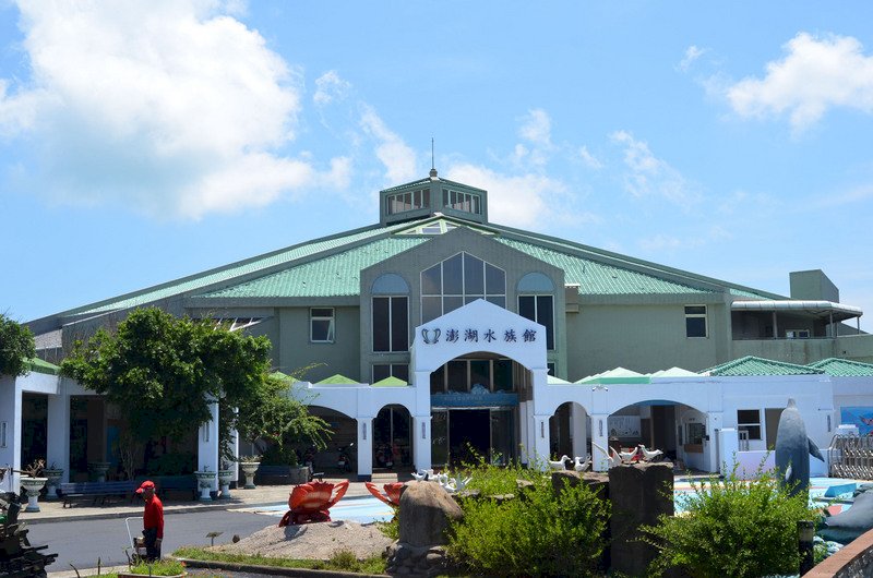 Khu nhà thuỷ tộc ở Bành Hồ mở lại cửa đón du khách, màn cho cá ăn trở thành điểm nhấn