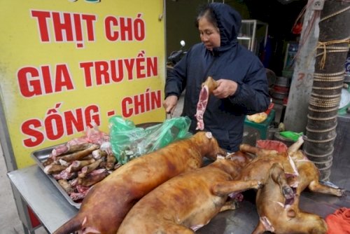 Hà Nội dự kiến cấm bán thịt chó ở từ 2021, hy vọng thay đổi hình ảnh văn minh đô thị