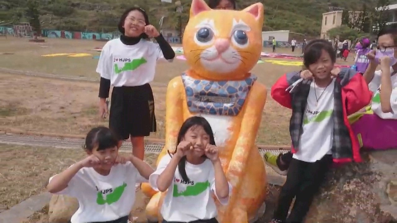 Ở Bành Hồ cũng có hòn đảo mèo nhé! Học sinh tiểu học tự gây quỹ chăm sóc các chú mèo dễ thương