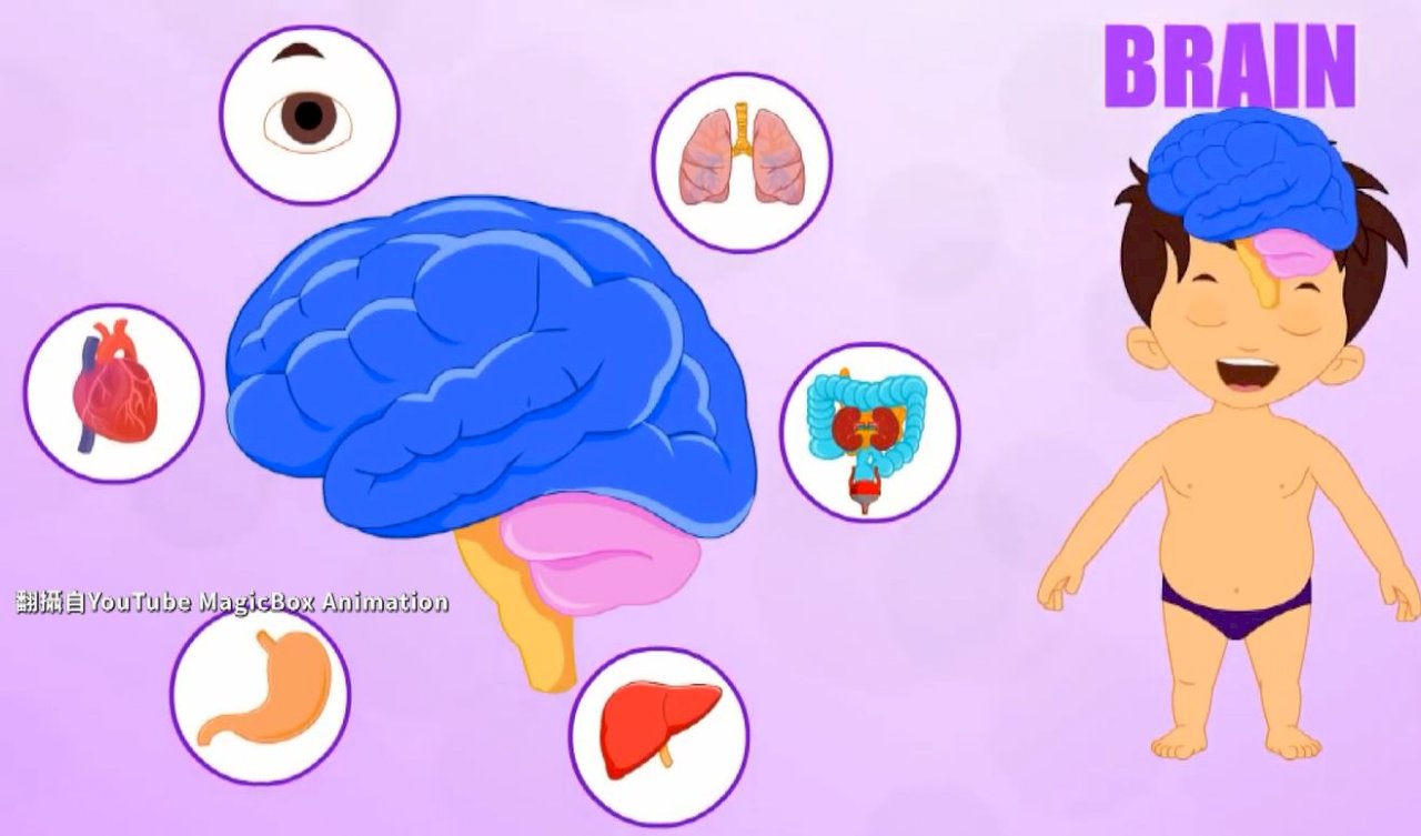Nghiên cứu: Ô nhiễm không khí gây tổn thương não, tăng tỉ lệ trẻ mắc chứng rối loạn lo âu.
