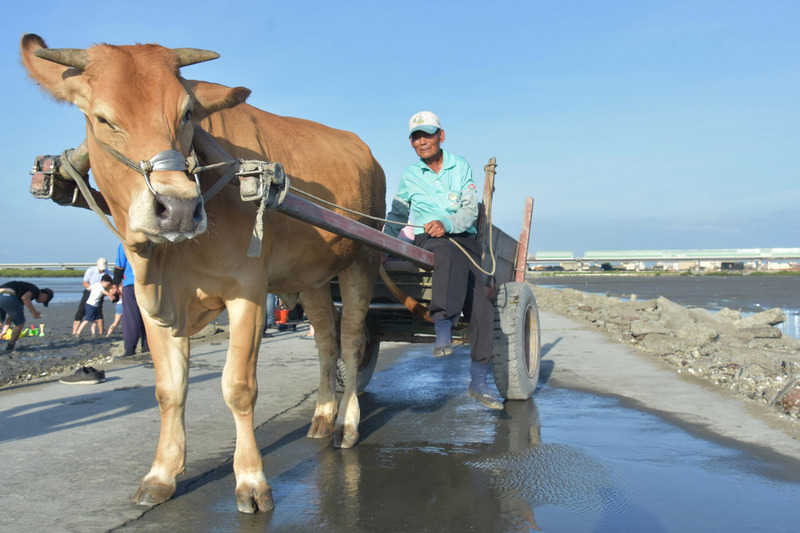 Điểm hẹn văn hóa - Văn hóa Hải ngưu tại Fangyuan - Chương Hóa