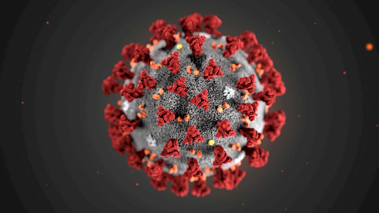 Làm cách nào để phòng ngừa virus corona mới lây truyền qua phân người.
