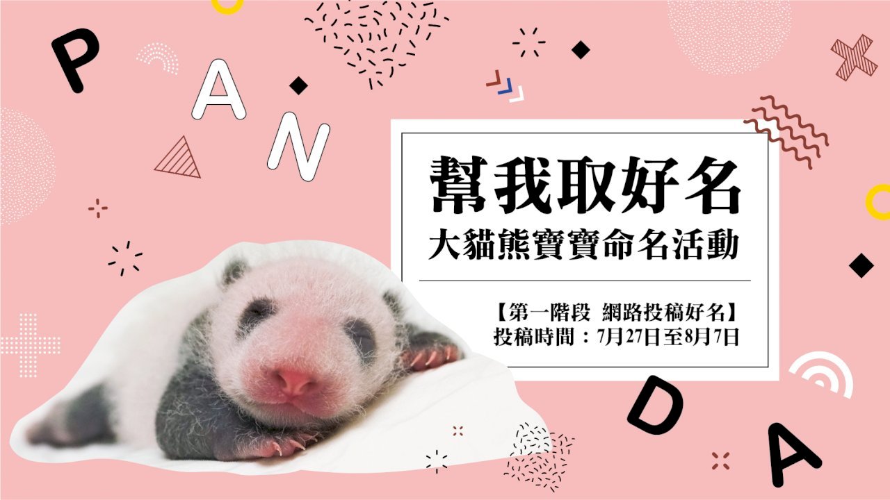 “Viên Tử Muội” đầy tháng. Chương trình đặt tên được bắt đầu từ hôm nay