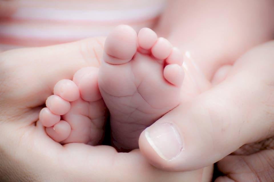 Viện Hành chính trợ cấp 100 nghìn TWD cho những cặp vợ chồng hiếm muộn dưới 45 tuổi làm thụ tinh trong ống nghiệm
