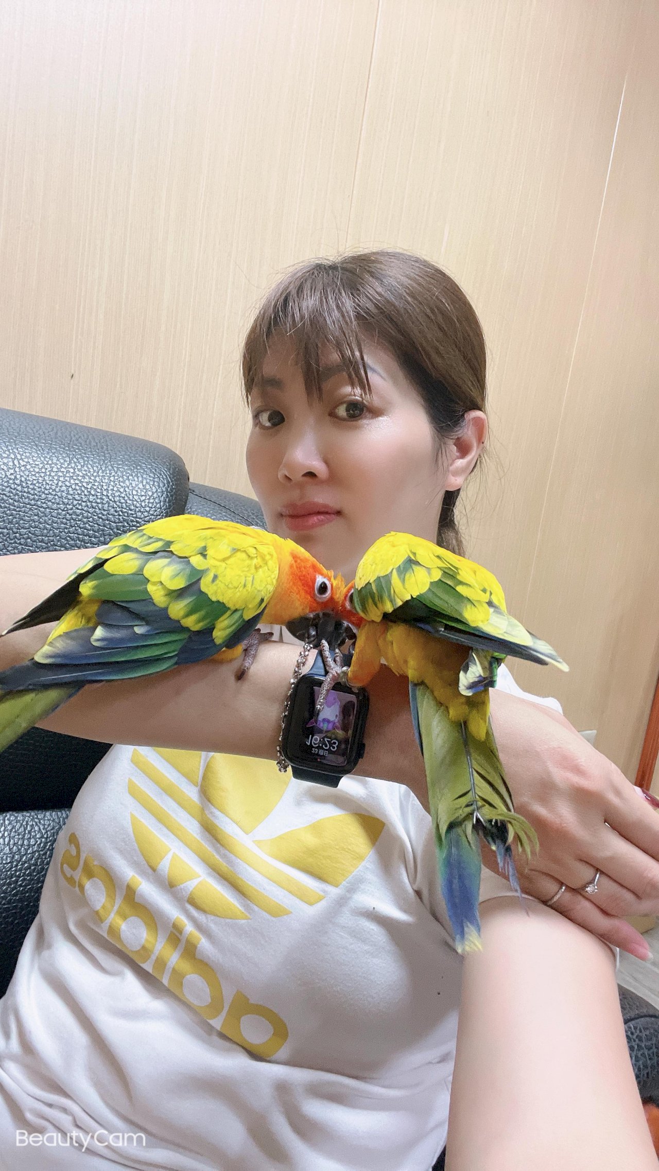 CDVN -Trải nghiệm thú vui nuôi những chú vẹt dễ thương– Tập I