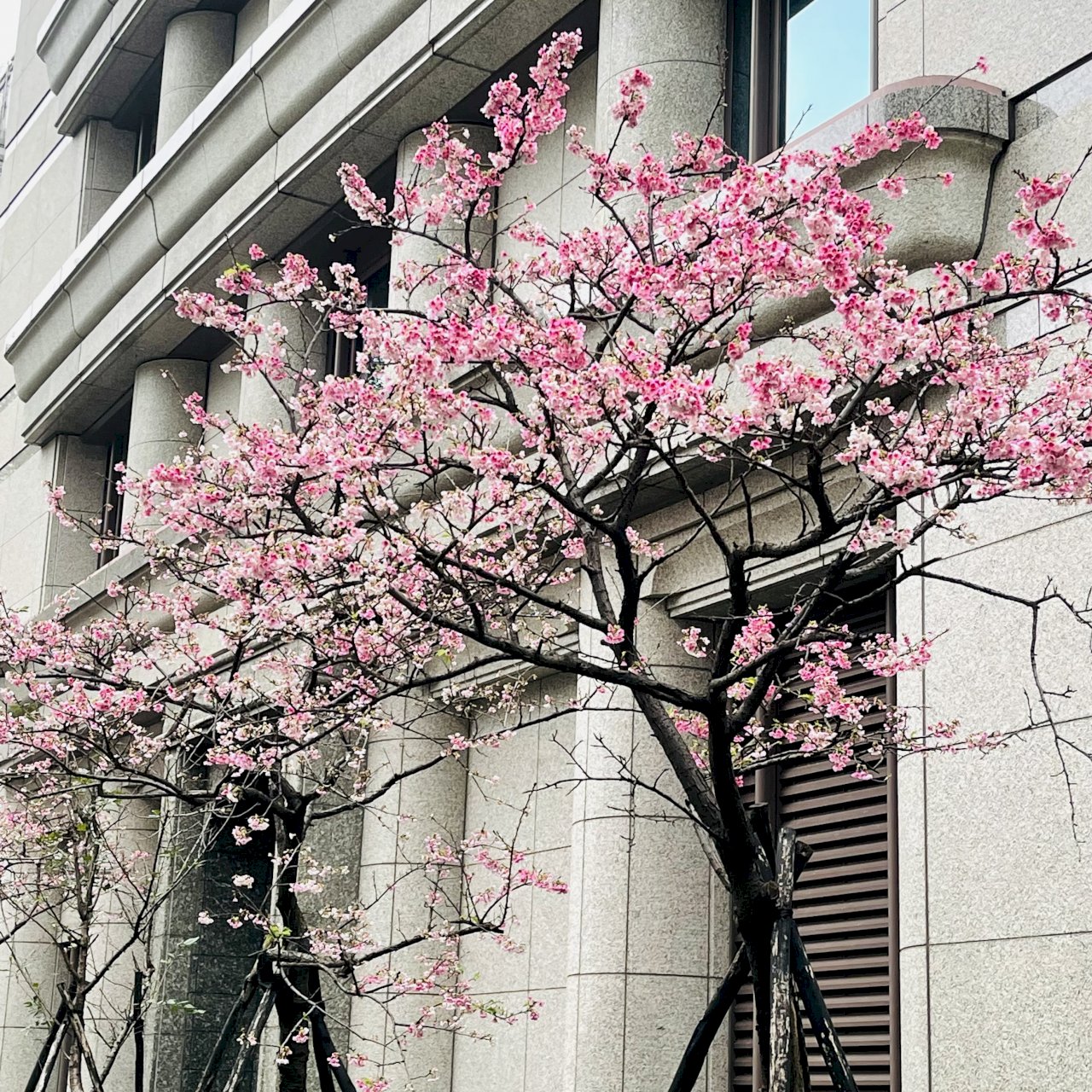 Nhịp cầu giao lưu trả lời thư thính giả