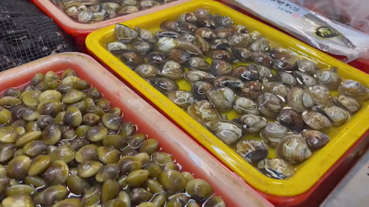 Nhu cầu thị trường gia tăng, giá nghêu e rằng sẽ càng tăng lên trước thềm Tết Trung Thu