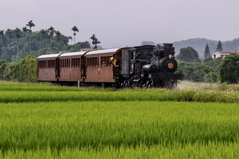 Tuyến đường sắt lâm nghiệp phục vụ ngành khai thác gỗ