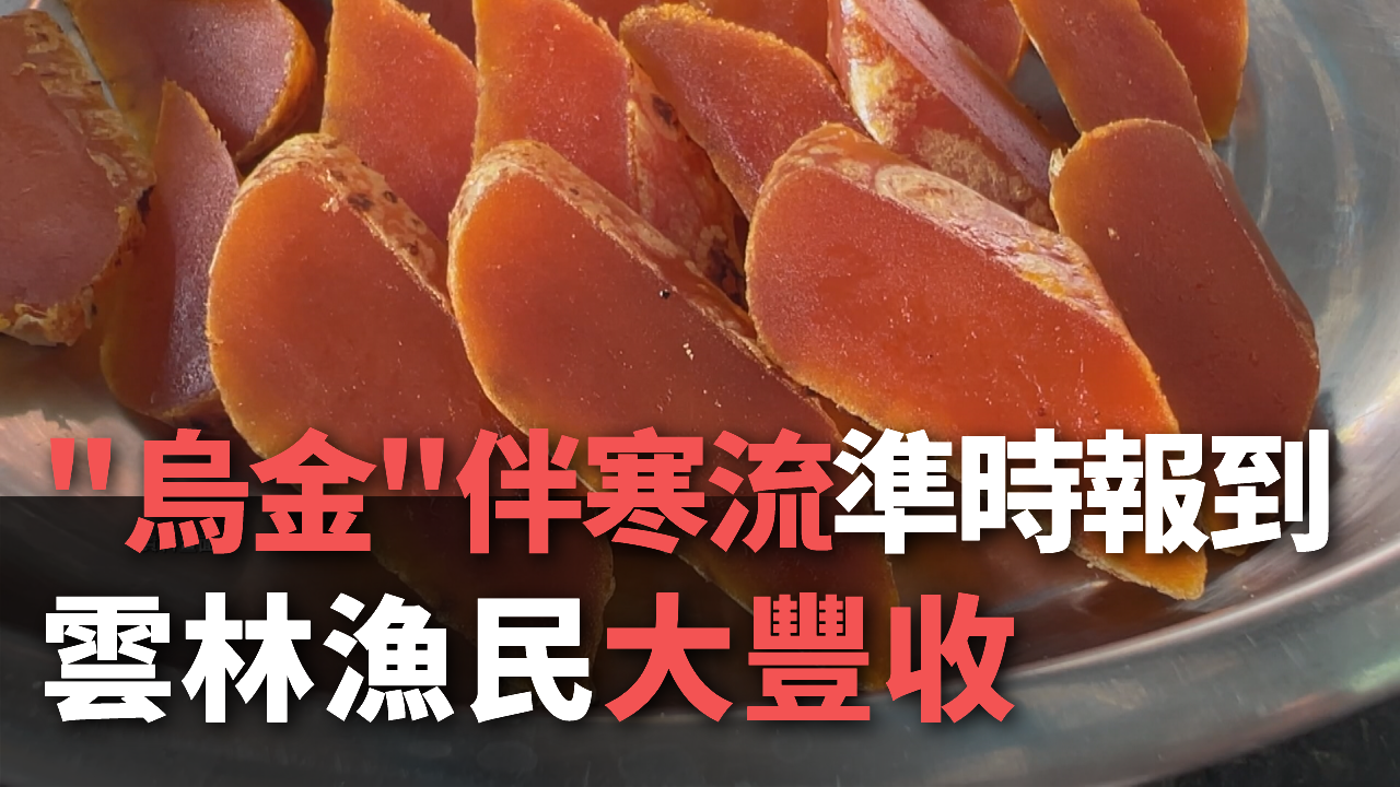 Đông đến cá đối đến hẹn lại lên, ngư dân Vân Lâm mong được trúng đậm vụ cá để ăn tết lớn