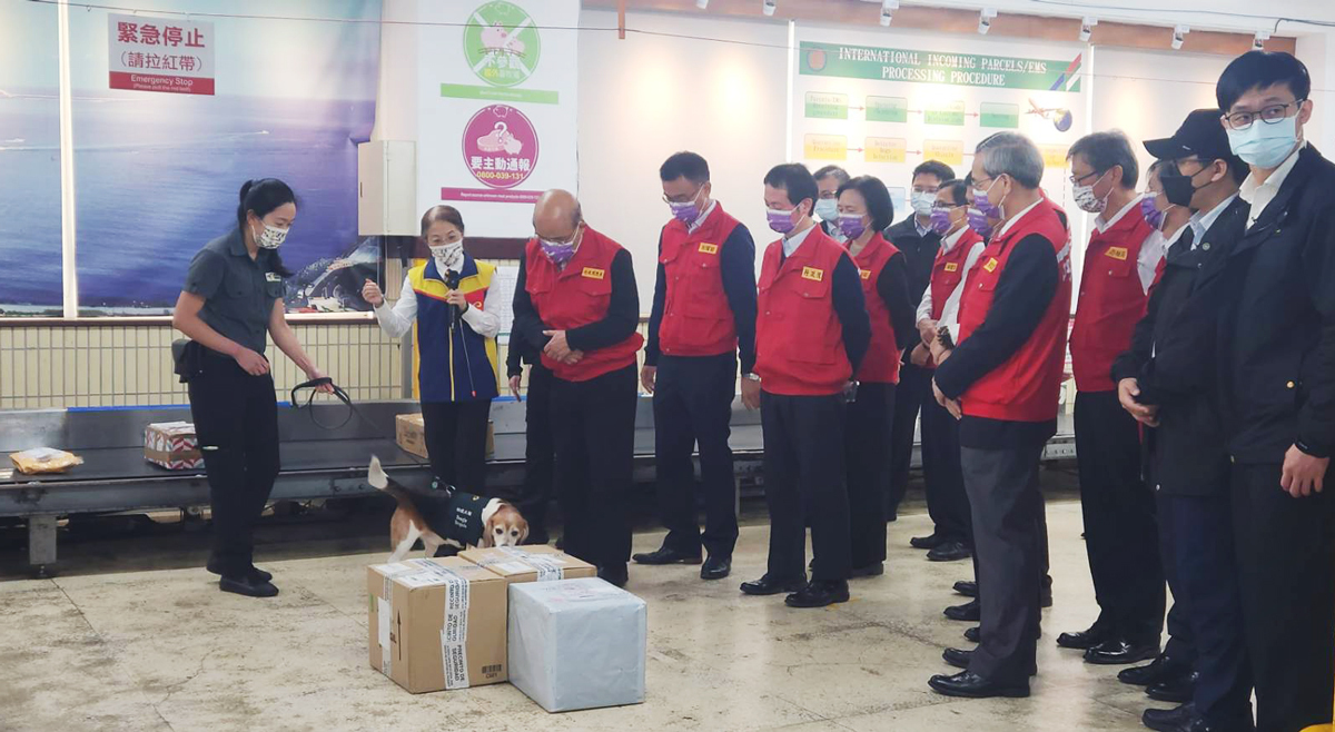 Thủ tướng Tô Trinh Xương: Kiểm tra bưu kiện gửi từ nước ngoài nghiêm ngặt để chặn đứng dịch tả lợn châu Phi