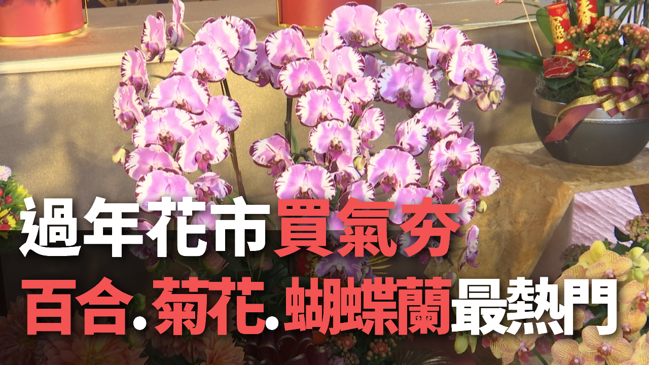 Nhộn nhịp chợ hoa tết, cúc, bách hợp và lan hồ điệp là loài hoa được ưa chuộng nhất ngày tết