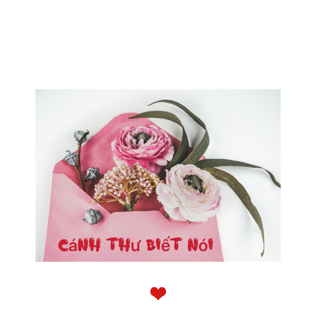 Nhịp cầu giao lưu trả lời thư thính giả