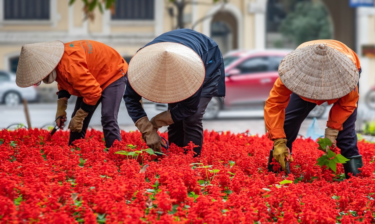 Hai tháng đầu năm Việt Nam có gần 30.000 lao động ra nước ngoài làm việc, trong đó Đài Loan là thị trường lớn nhất