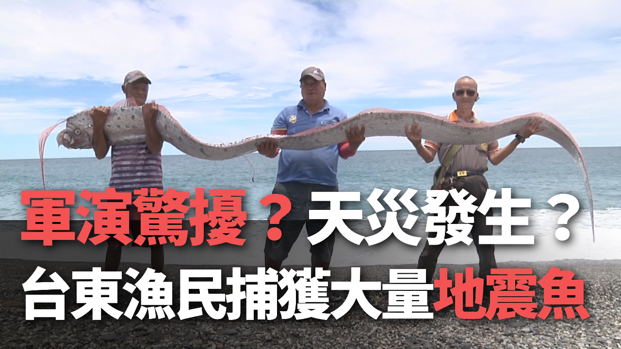 Tin video: Do diễn tập quân sự, hoặc thiên tai? Ngư dân Đài Đông bắt được lượng lớn “cá mái chèo”