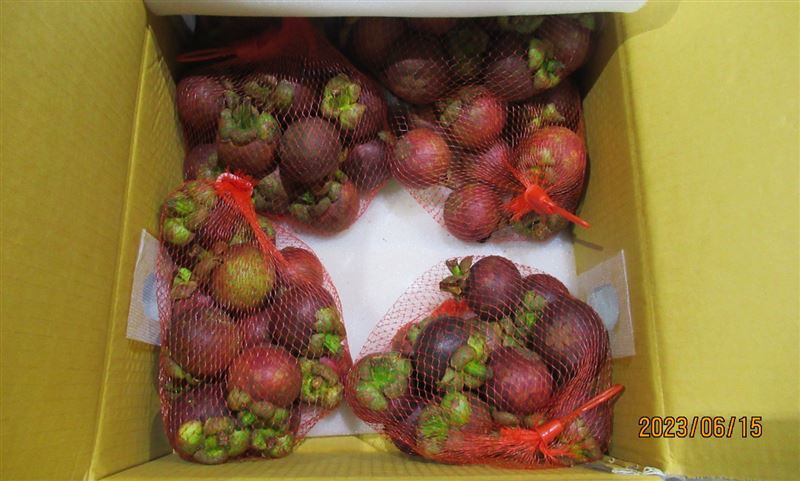 1856kg măng cụt Thái Lan bị trả về vì không đạt tiêu chuẩn