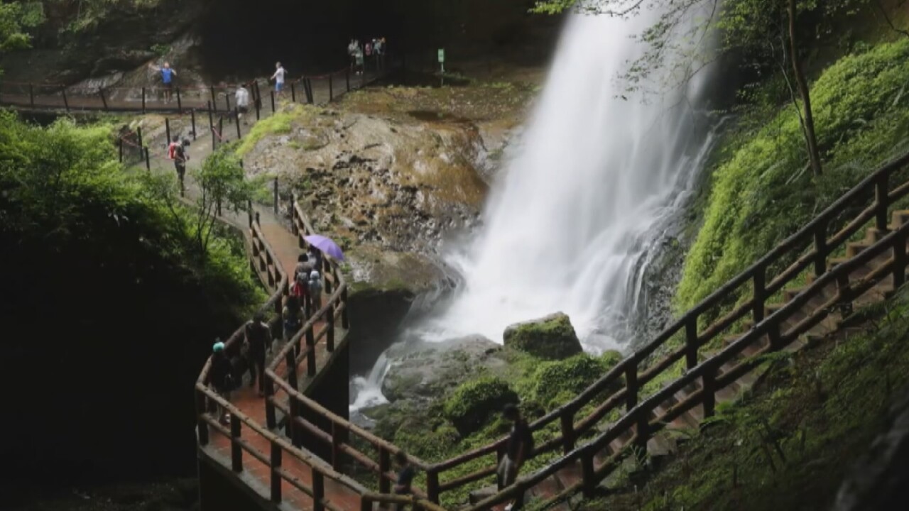 Xuất hiện “bầu trời sao” đom đóm, cảnh đẹp bất ngờ tại công viên suối Shanlin