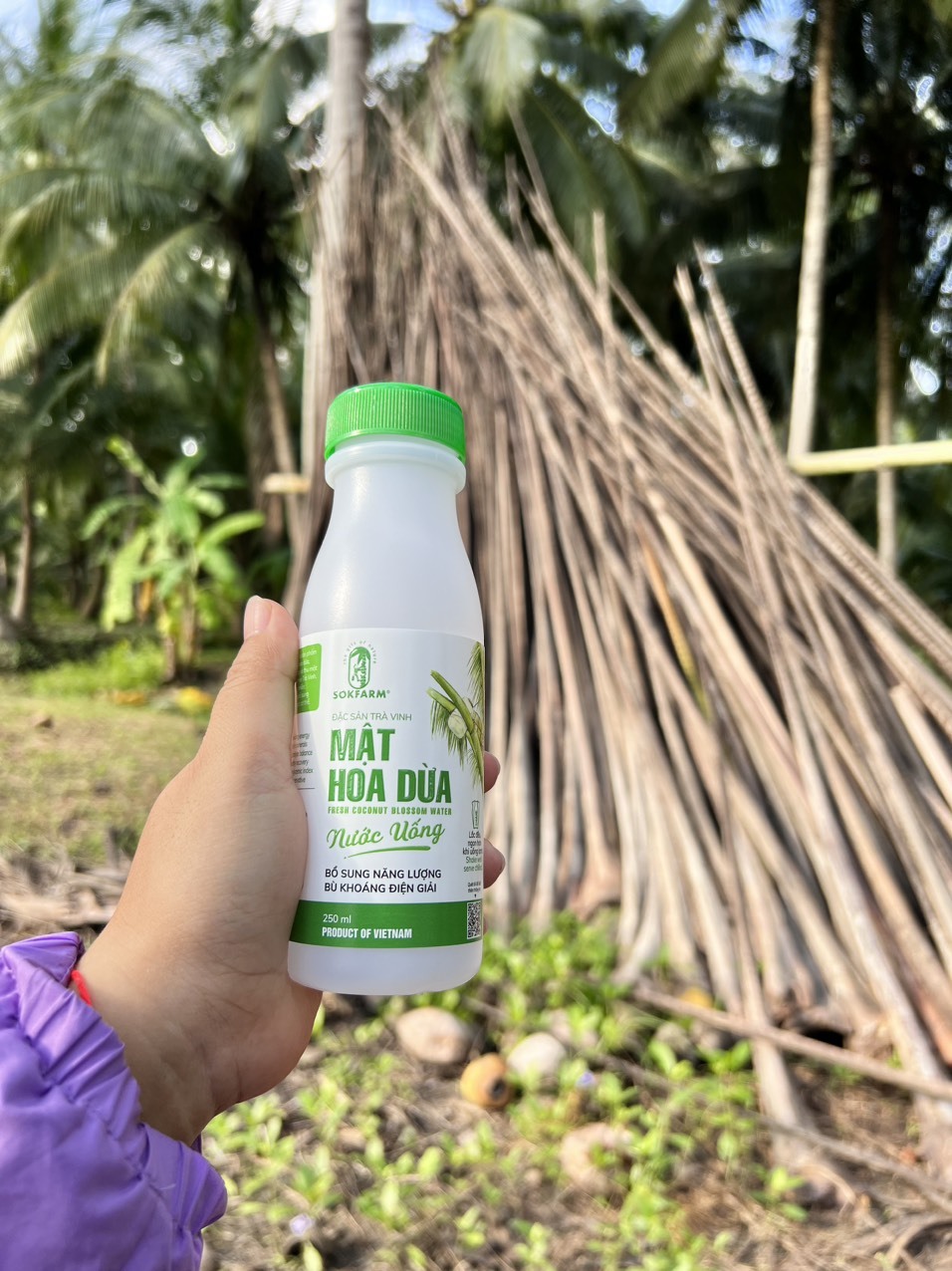 Mật hoa dừa, sản phẩm nông nghiệp tiên phong về thích ứng biến đổi khí hậu tại Việt Nam (P1)