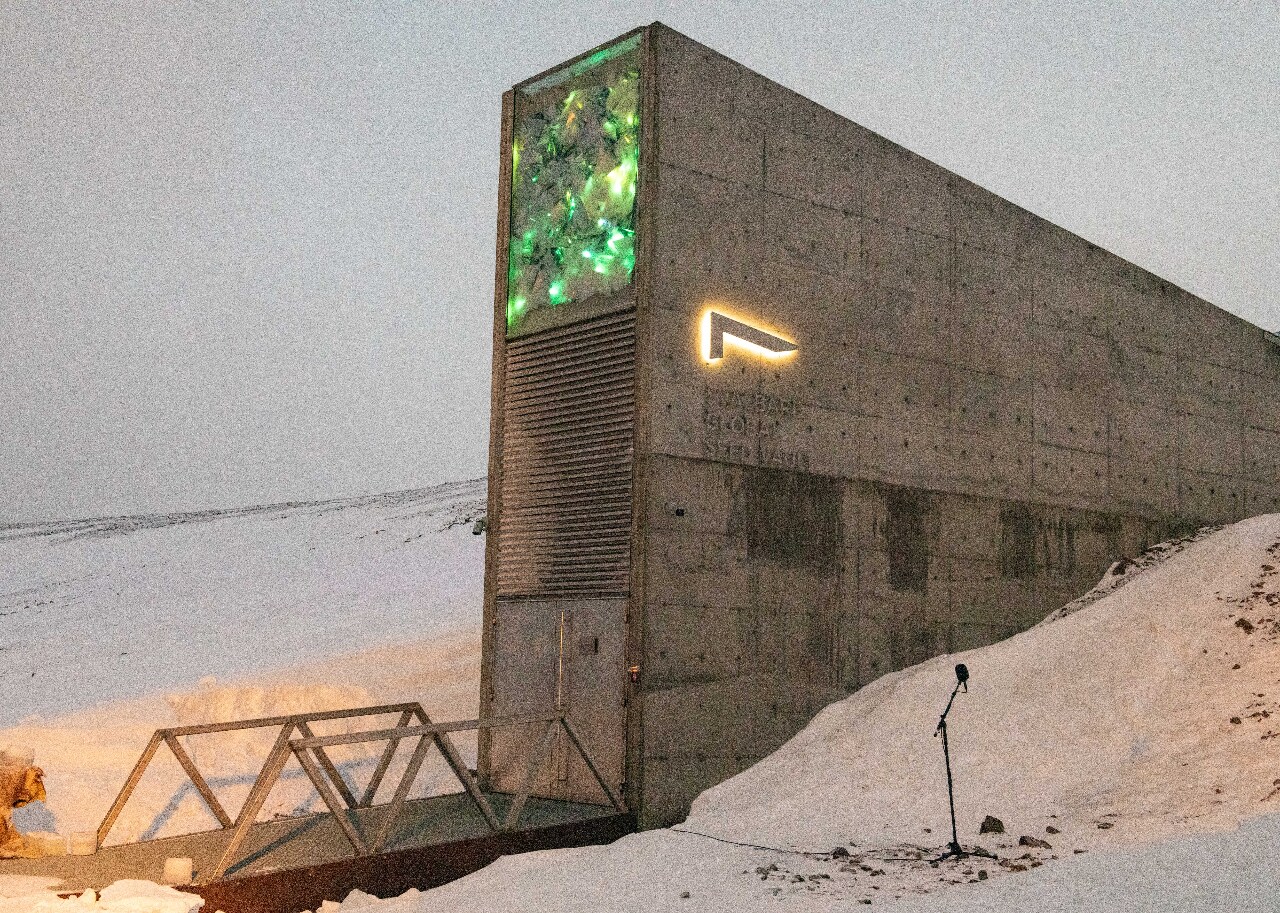 Kho hạt giống toàn cầu Svalbard
