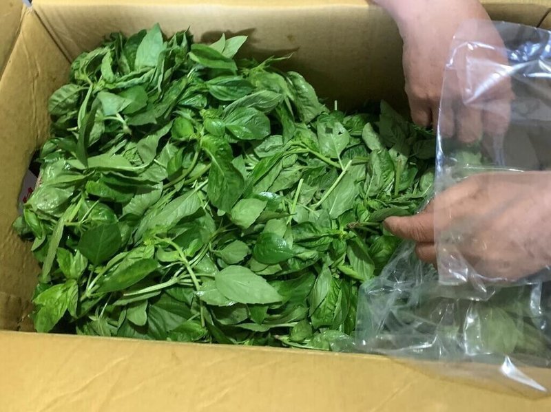 Cục Y tế Đài Bắc công bố kết quả lấy mẫu mới nhất về dư lượng thuốc trừ sâu trên rau quả tươi, đa số mẫu không đạt chuẩn là rau quế và hẹ