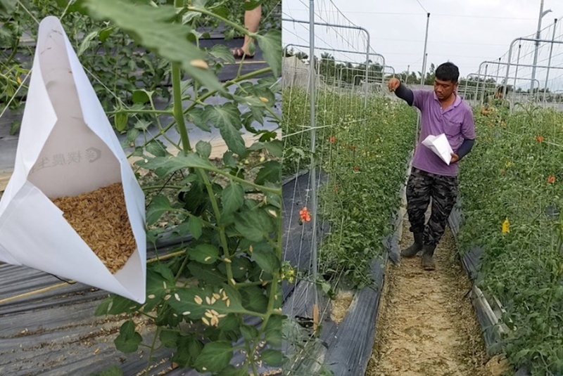 Viện Lập pháp thông qua vòng 3 Luật Chuyên viên chữa bệnh cho cây trồng. Bộ Nông nghiệp: Giúp sử dụng thuốc bảo vệ thực vật chính xác và cải thiện độ an toàn của sản phẩm nông nghiệp