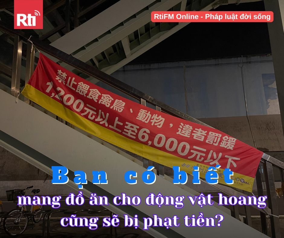 [Pháp luật đời sống - Tập 93] Quy định cấm mang thức ăn cho động vật hoang (Phần 1)