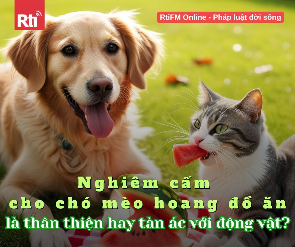 [Pháp luật đời sống - Tập 94] Quy định cấm mang thức ăn cho động vật hoang (Phần 2)