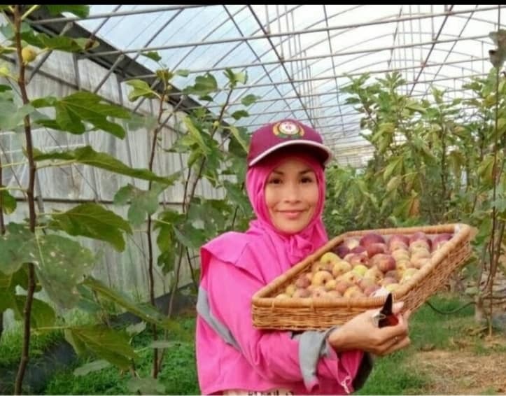 Di dân mới Nguyễn Thanh Tâm và chặng đường đến với nông nghiệp sạch (III)