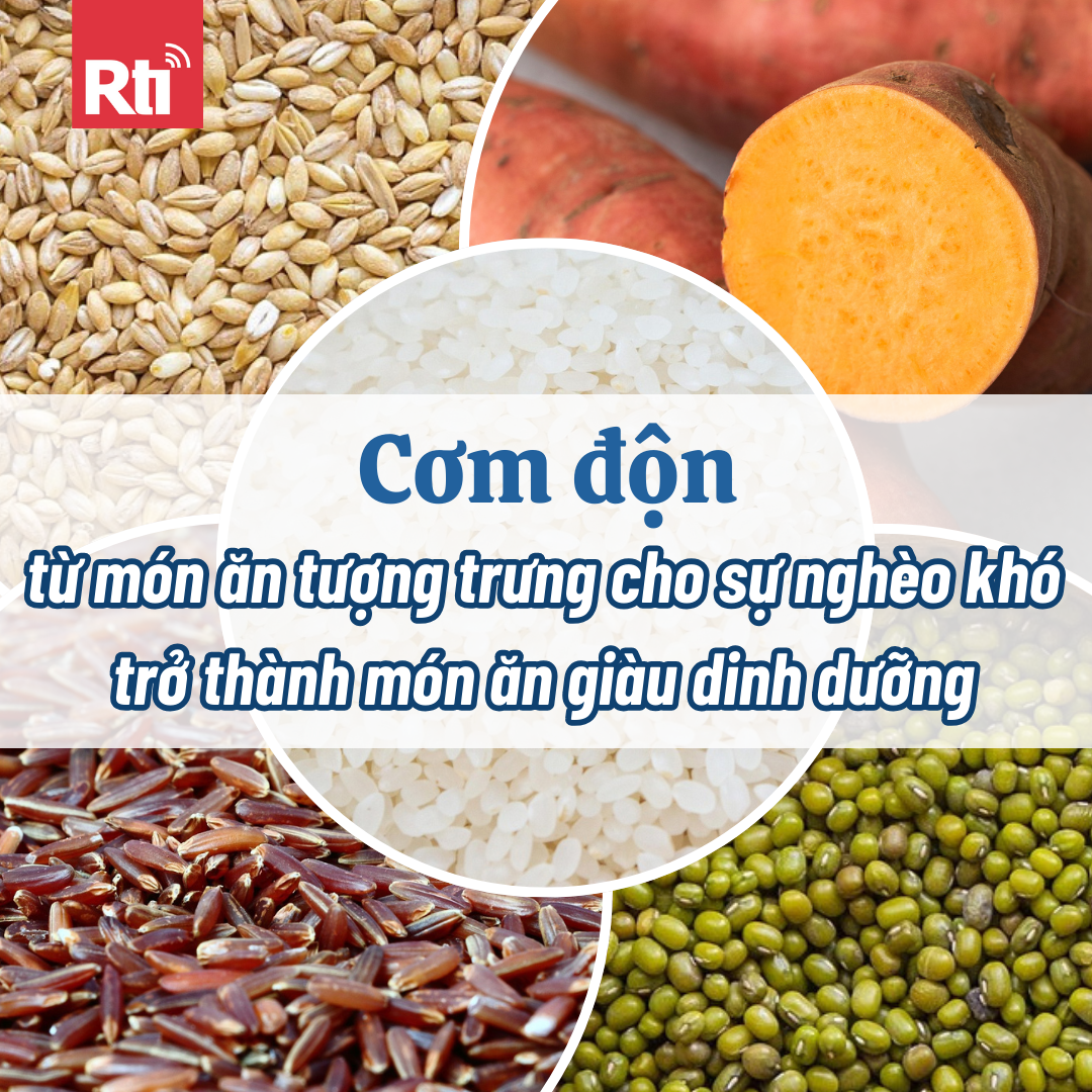 [Sống vui sống khỏe - Tập 119] Cơm độn - từ món ăn tượng trưng cho sự nghèo khó trở thành món ăn giàu dinh dưỡng