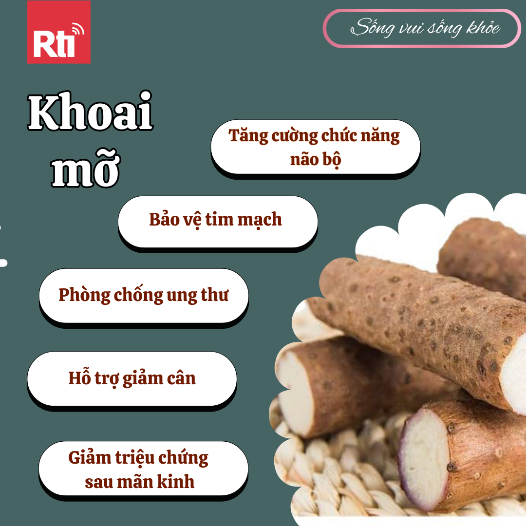 [Sống vui sống khỏe - Tập 108] Khoai mỡ có thể phòng ngừa ung thư và tốt cho não bộ!