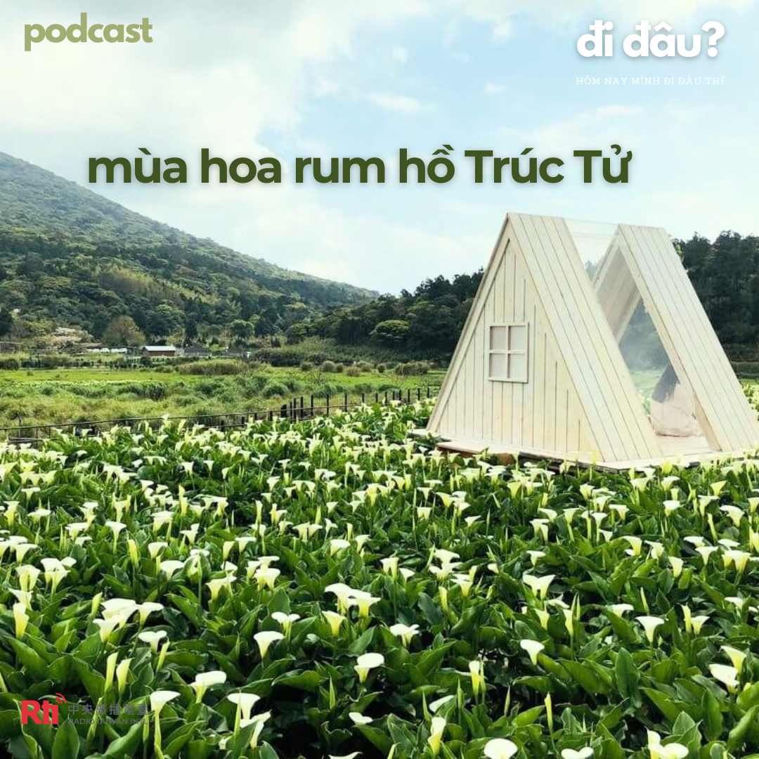 [Hôm nay mình đi đâu thế? - Tập 129] Câu chuyện về hồ Trúc Tử và mùa hoa rum