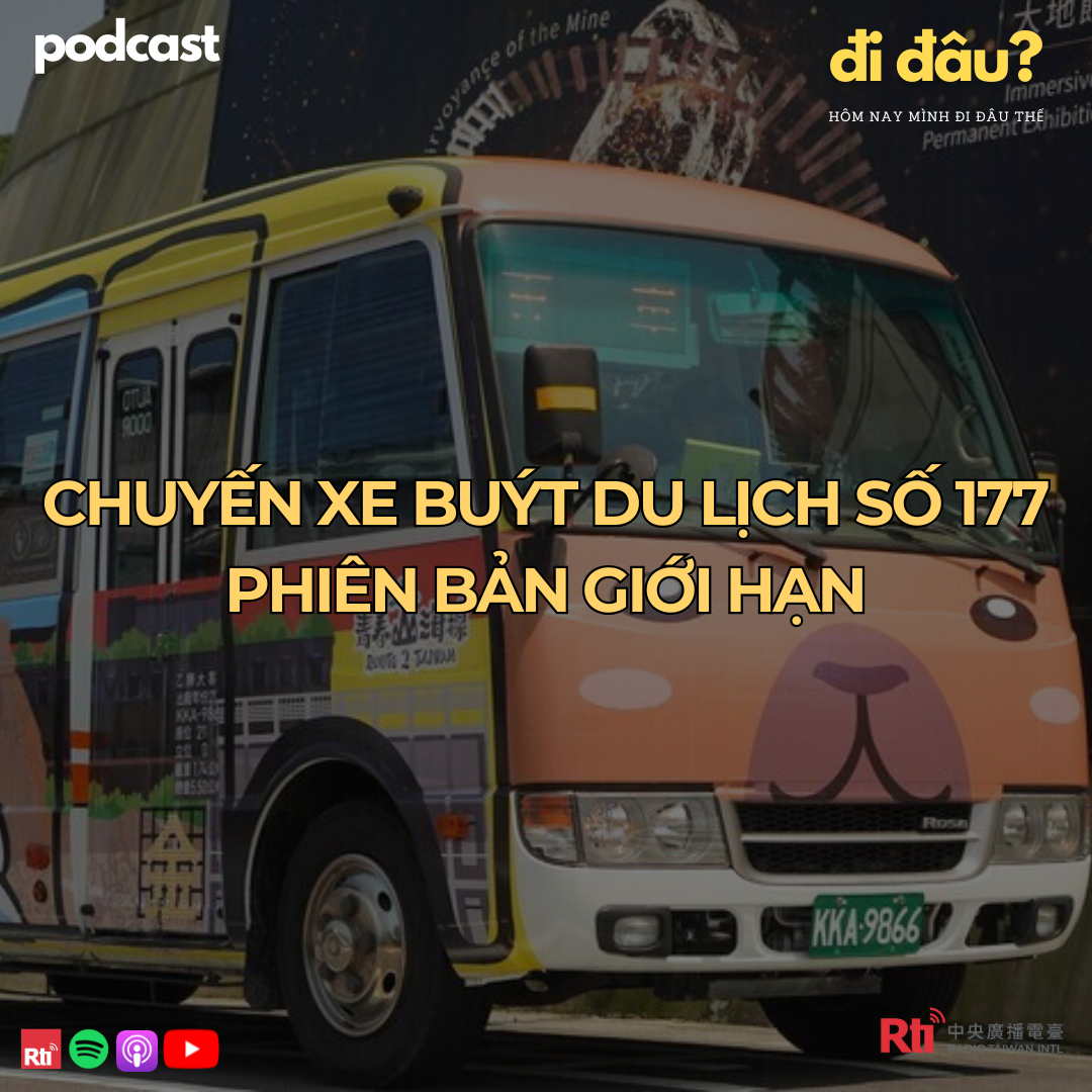 [Hôm nay mình đi đâu thế? - Tập 136] Chuyến xe buýt du lịch số 177 phiên bản giới hạn